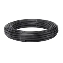 Pilt on illustreeriv