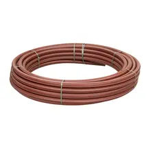 Pilt on illustreeriv