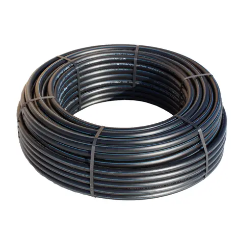 Pilt on illustreeriv