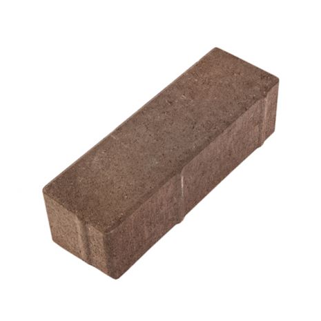 Pruun